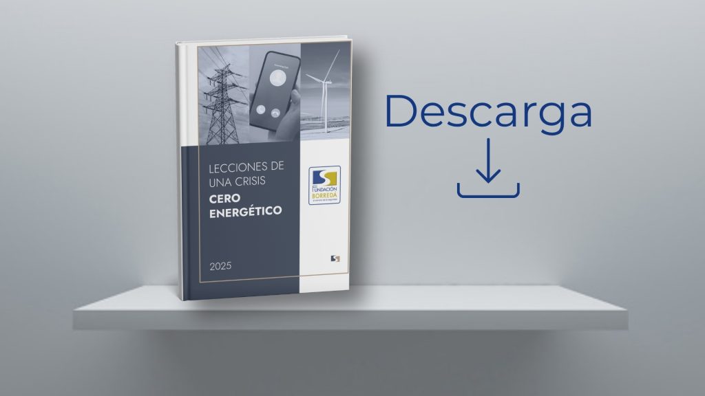 Cero energético: Lecciones de una crisis 1 Descarga del informe Cero Energético: Lecciones de una Crisis publicado por la Fundación Borredá.